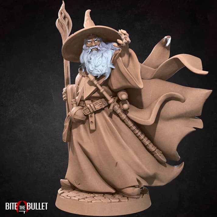 The Grey Wanderer — elderly wizard with staff and flowing robes